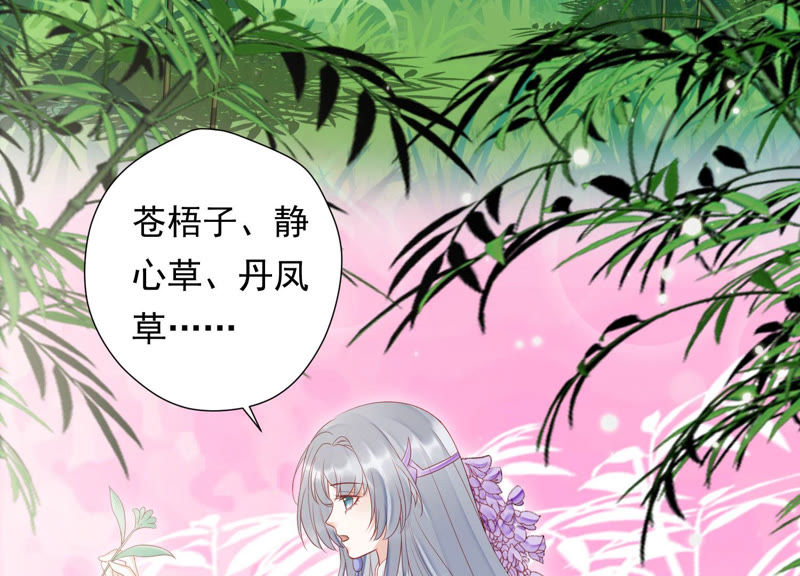 知君深情不易 - 第108話 遵命，我的宮主大人(1/2) - 4