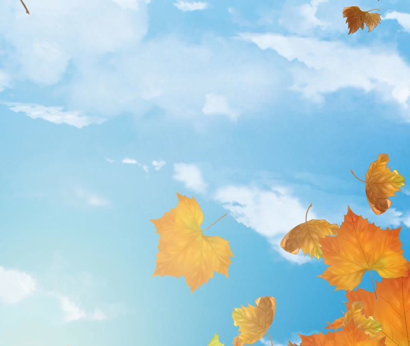 知君深情不易 - 第62話 要先找到月才行(1/2) - 4