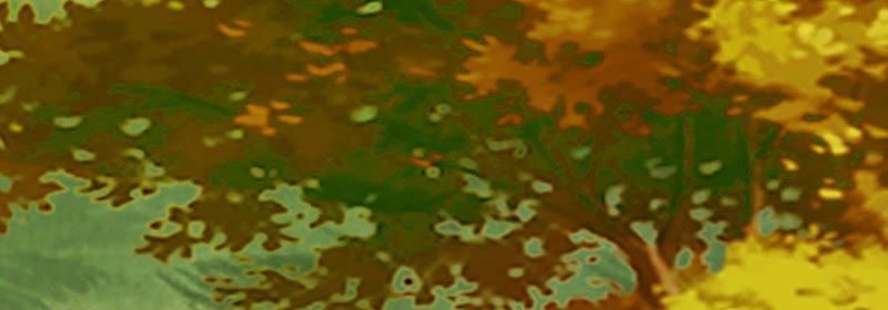 知君深情不易 - 第66話 暴力破陣(1/2) - 7