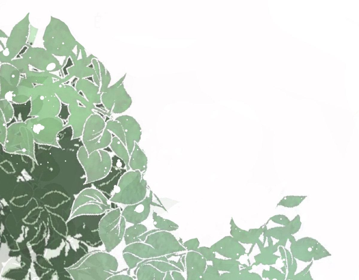 第61话仿冒品和真品没办法比较(1/2)-第65话