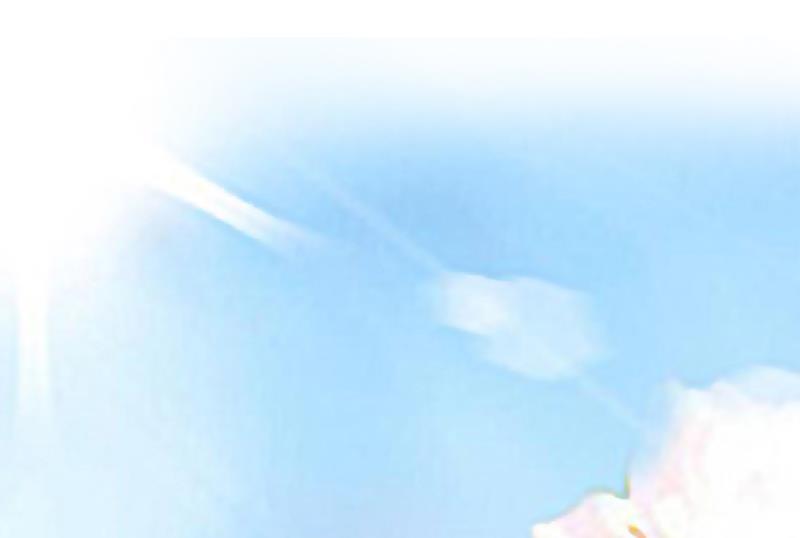 第77话 不许任何人伤害她-第77话