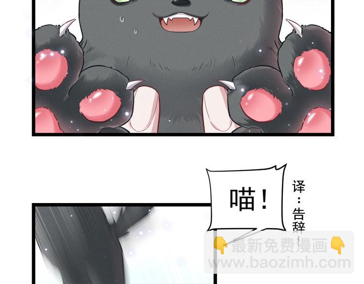 致命吸引 - 第8話 唐棠貓貓沒有壞心眼(2/2) - 6