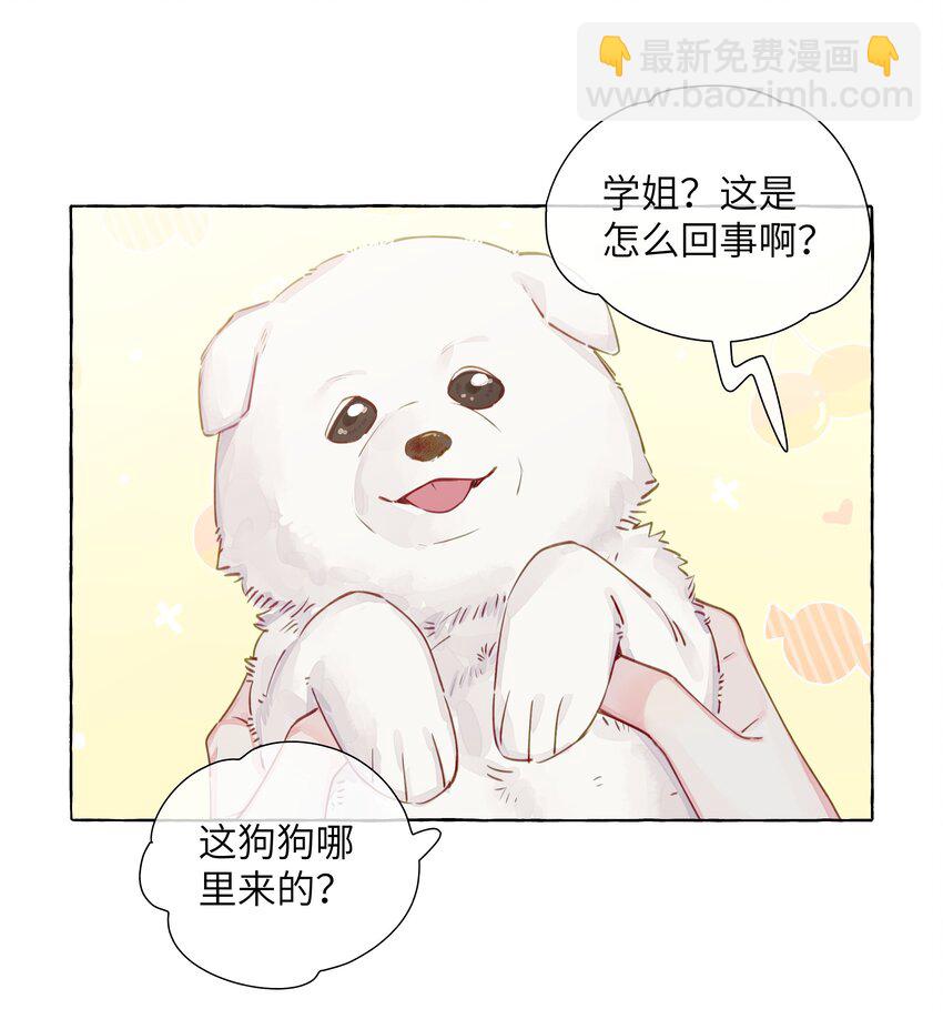 100 学姐的小狗-第121话