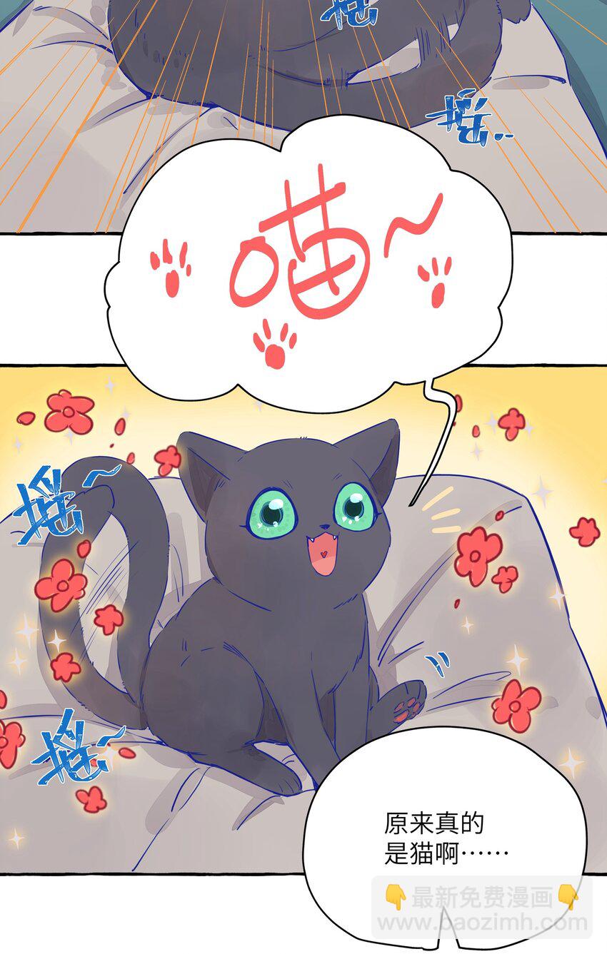002 原来是猫啊&hellip;&hellip;-第3话