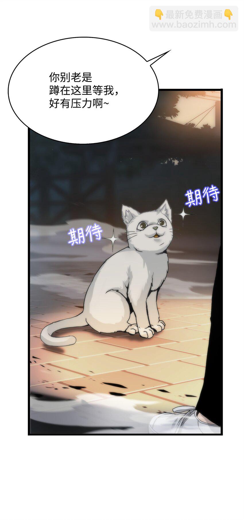 01 老虎现身(1/3)-第1话