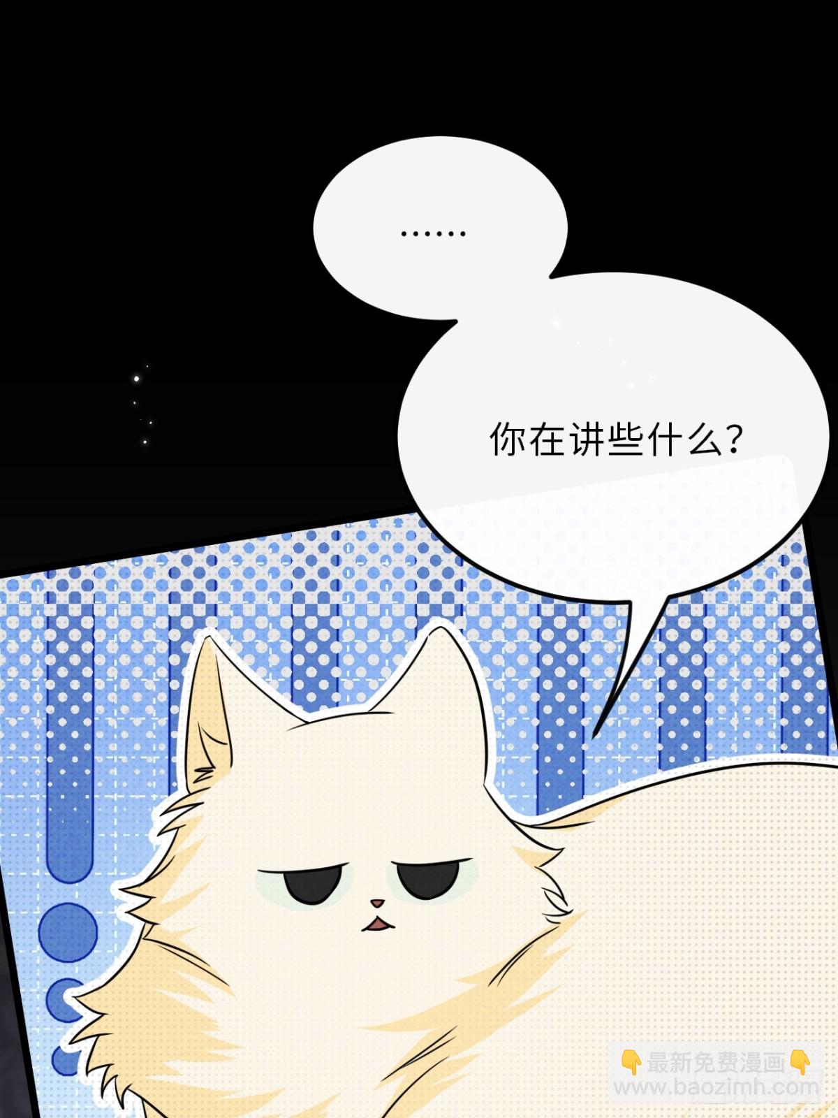 031.一起玩捉迷藏吧(1/2)-第35话