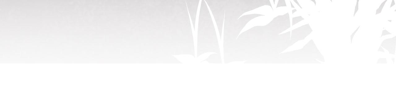 第44话 探望(1/3)-第47话