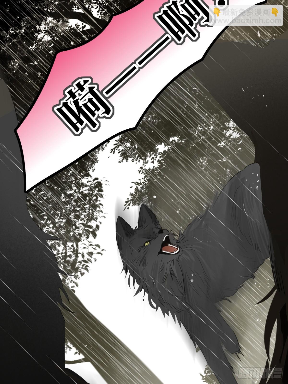 &ldquo;初次&rdquo;相遇(1/2)-第113话