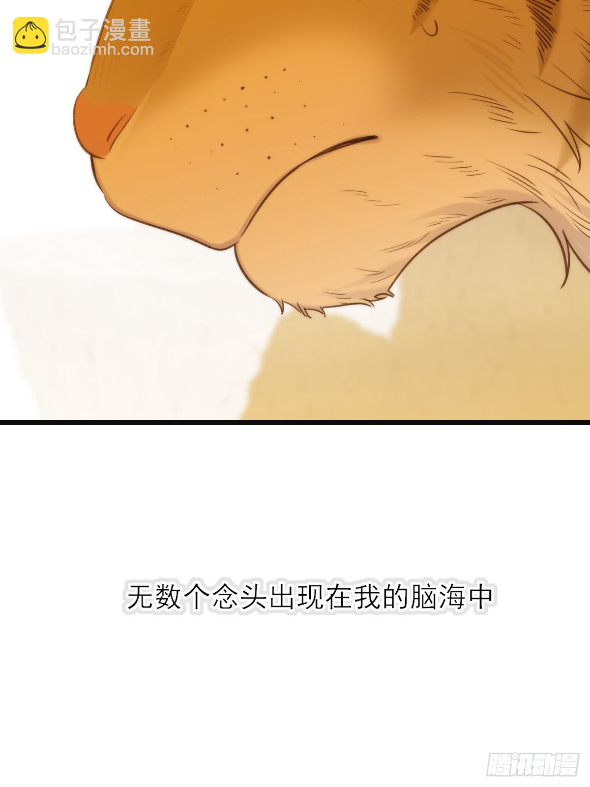 只有尾巴不可以！ - 虎與爆篇1(1/2) - 1