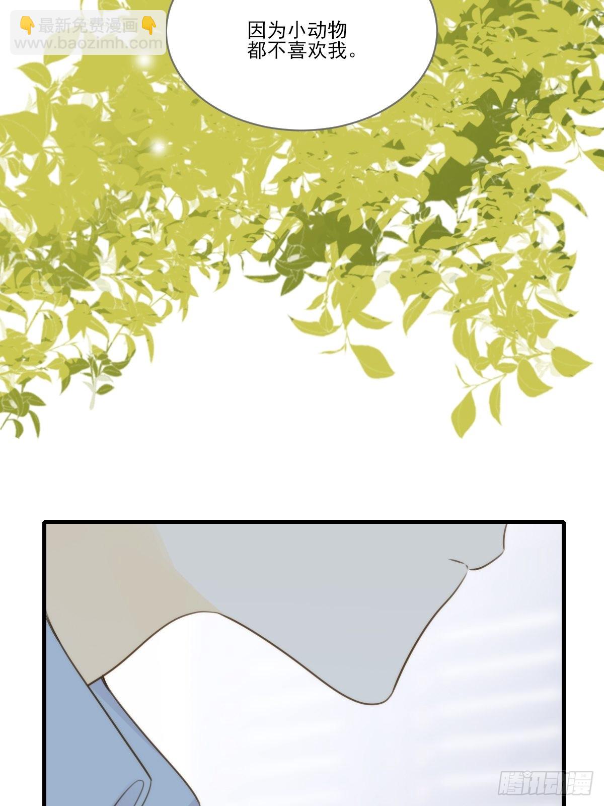 被治愈的心(1/2)-第15话