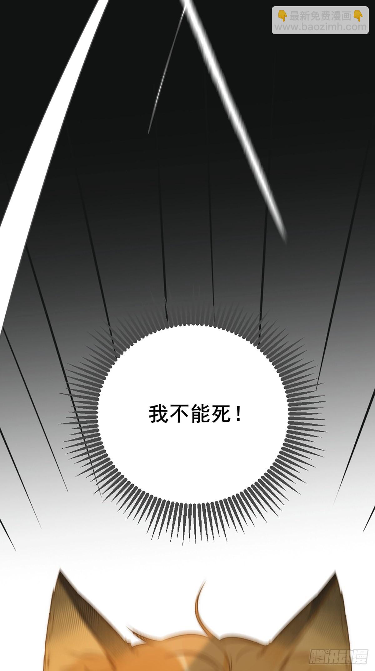 命运般地相遇了(1/4)-第3话