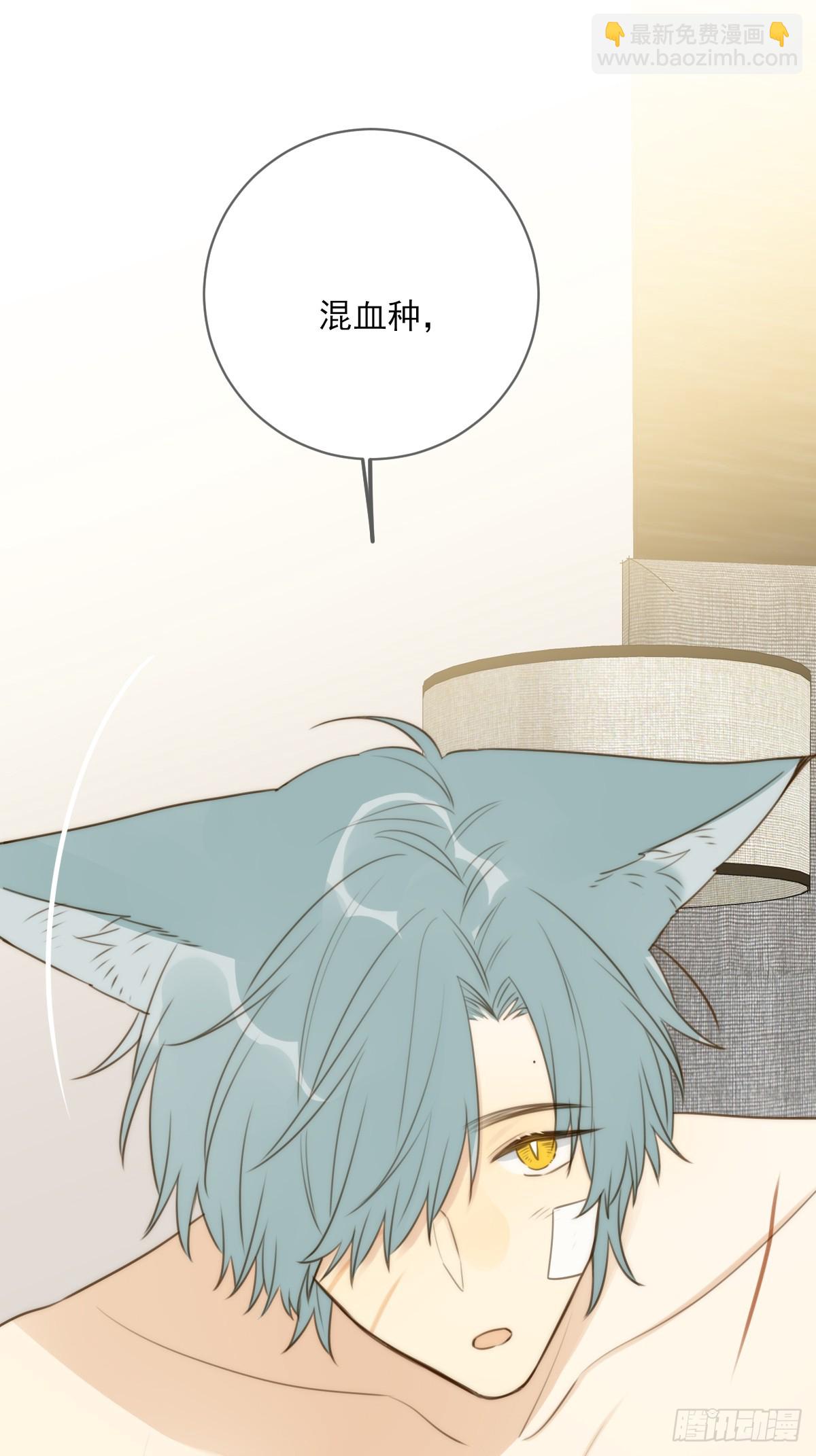 你待我如此特别(1/2)-第35话