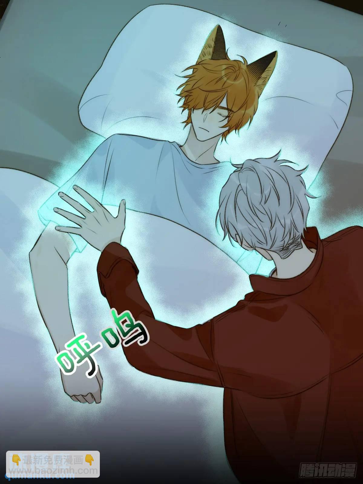 虎妖帮忙(1/2)-第77话