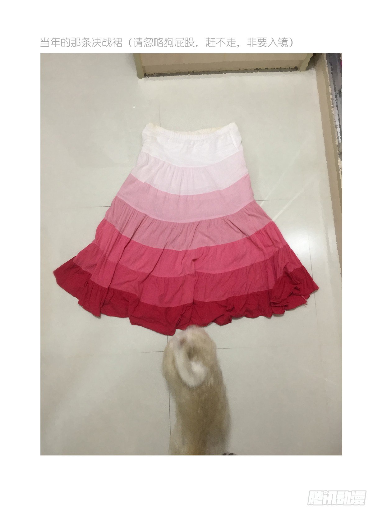 第1话：你的健忘由我记忆(1/2)-第1话