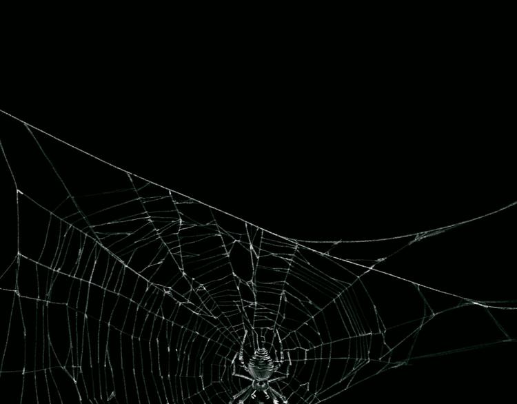 第1话  杀人魔(1/3)-第1话