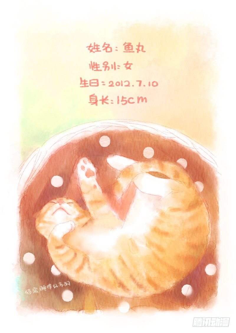 第十二话-鱼小丸子2-第17话
