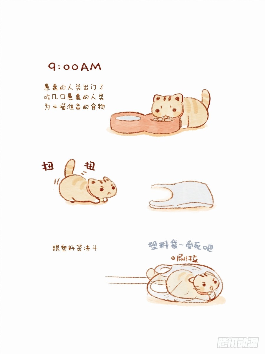 第十三话下-鱼丸的一天2-第19话