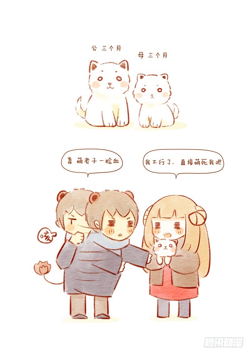 第十四话-糯米2-第21话