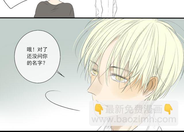 完结篇：我很乐意一直听你说下去-第31话