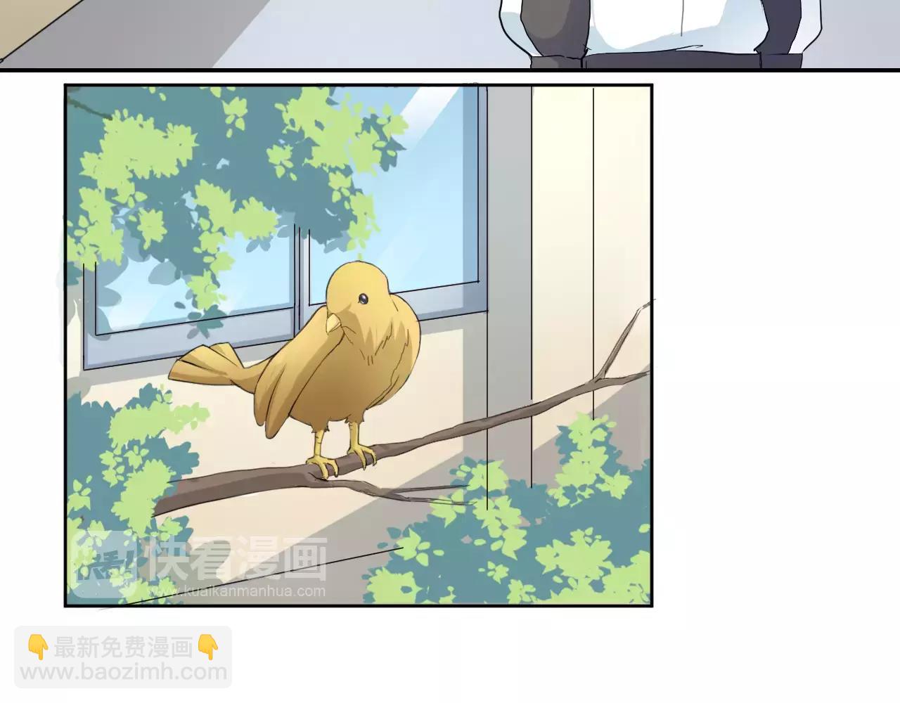 第36话 想对你说的话(1/2)-第37话