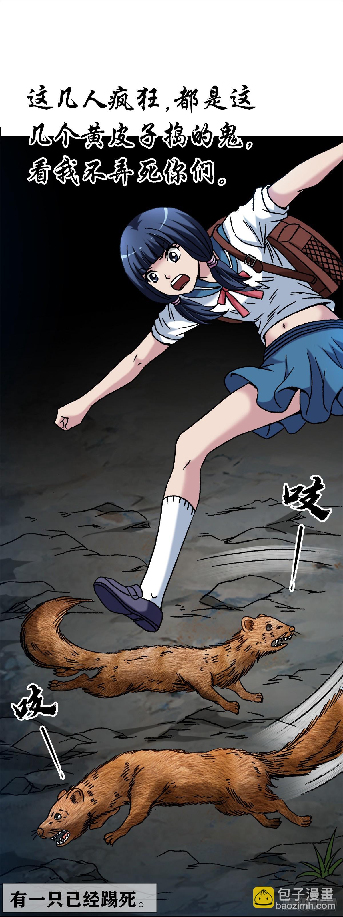 17.jpg