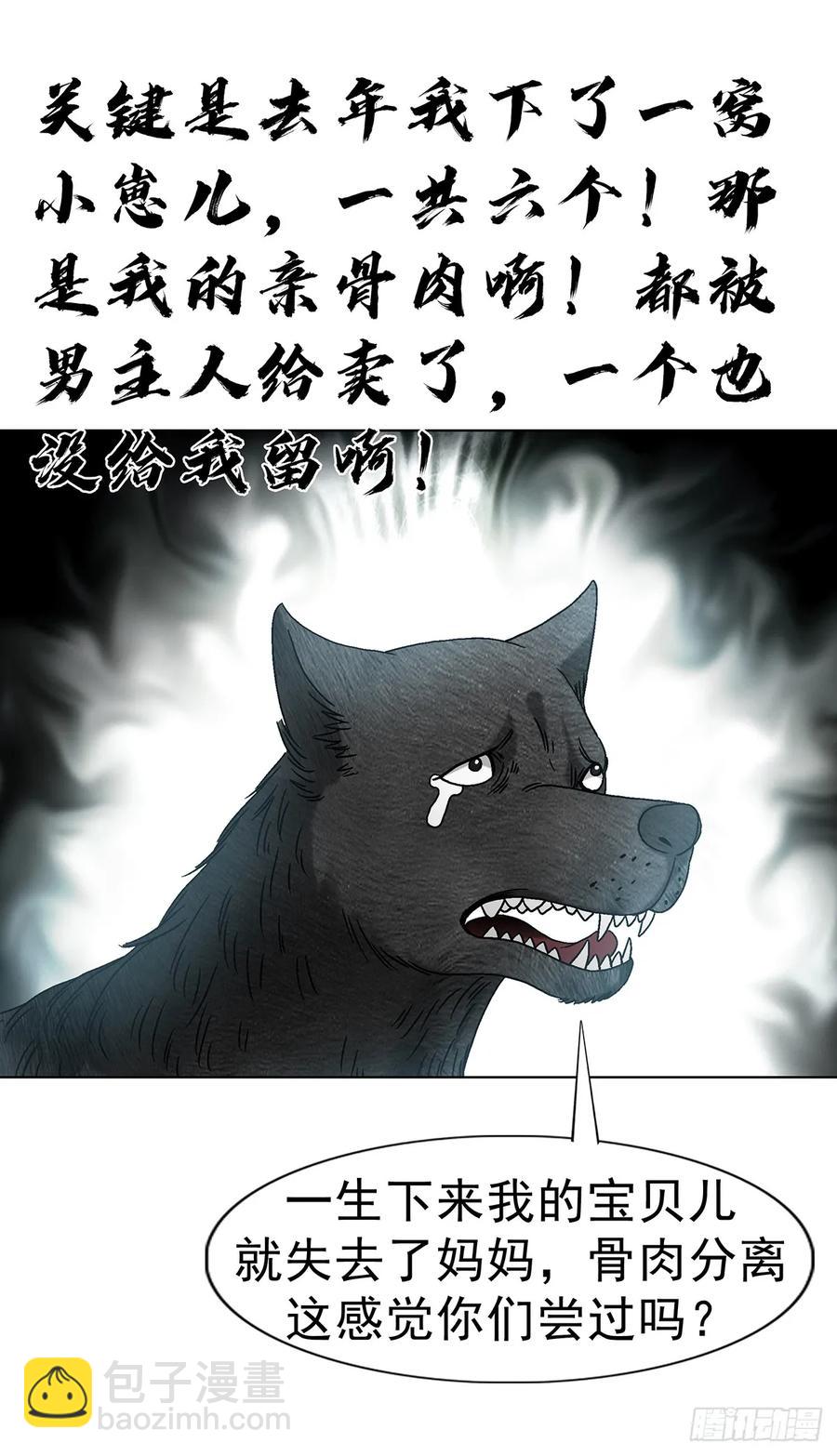 41.jpg