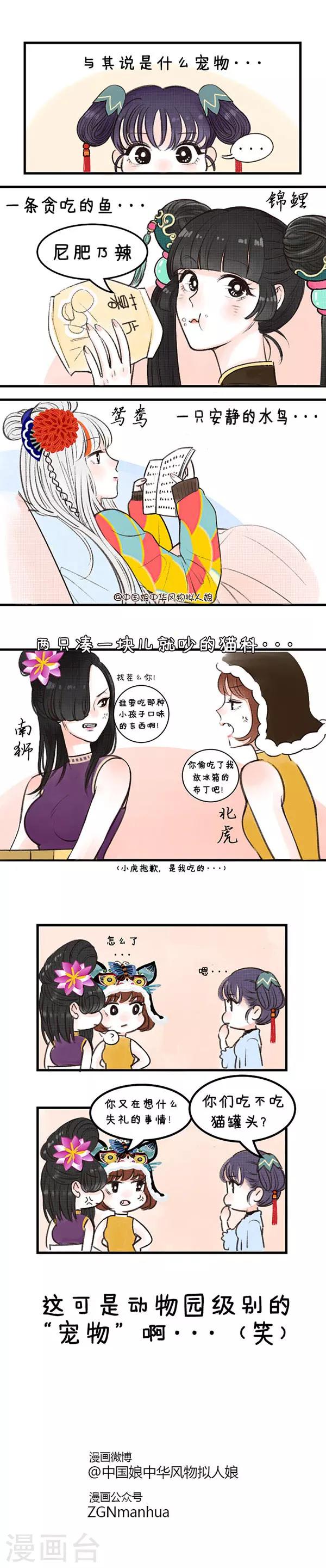 第19话 家有萌宠-第19话