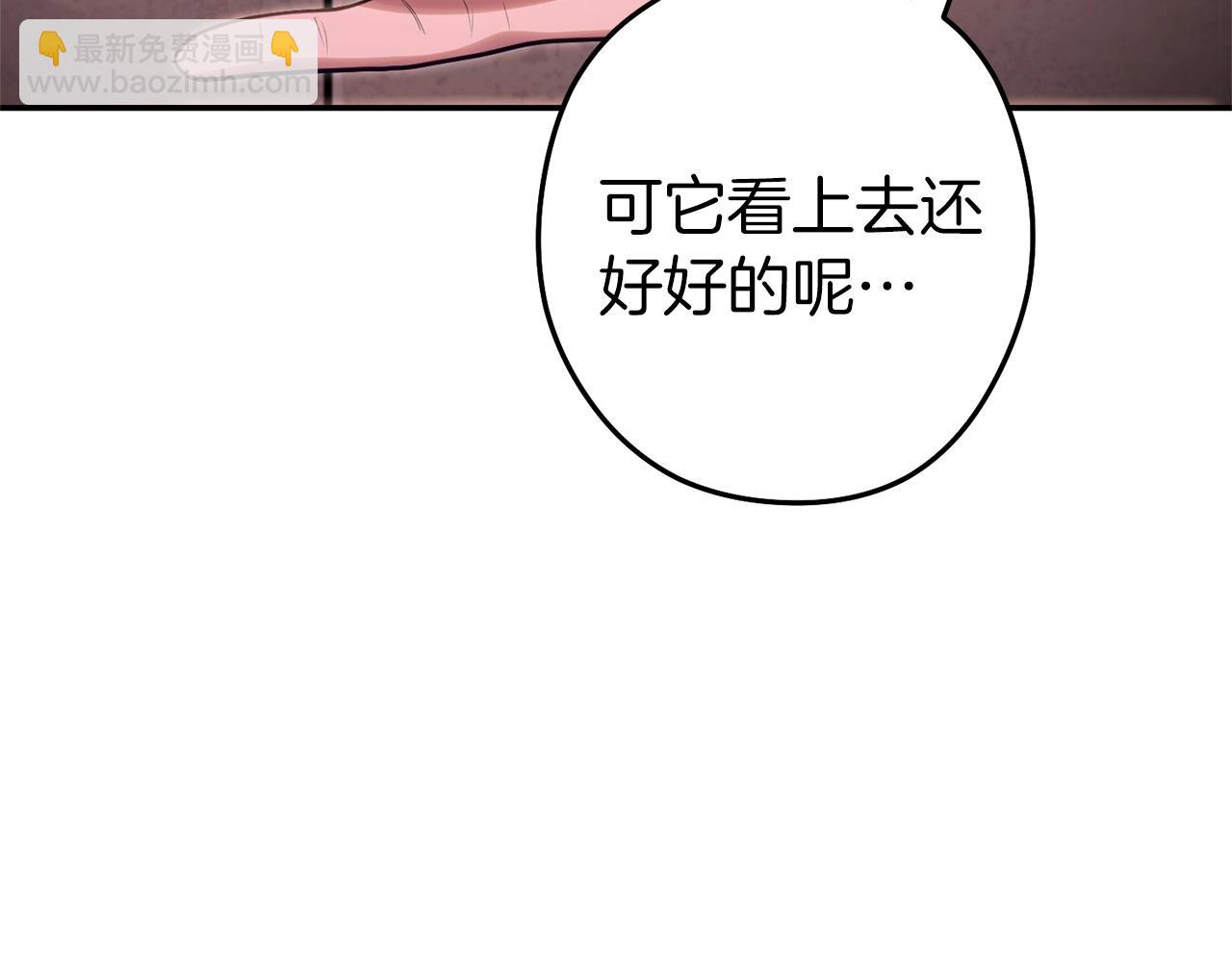 第129话 身世成谜的兔子(1/5)-第133话