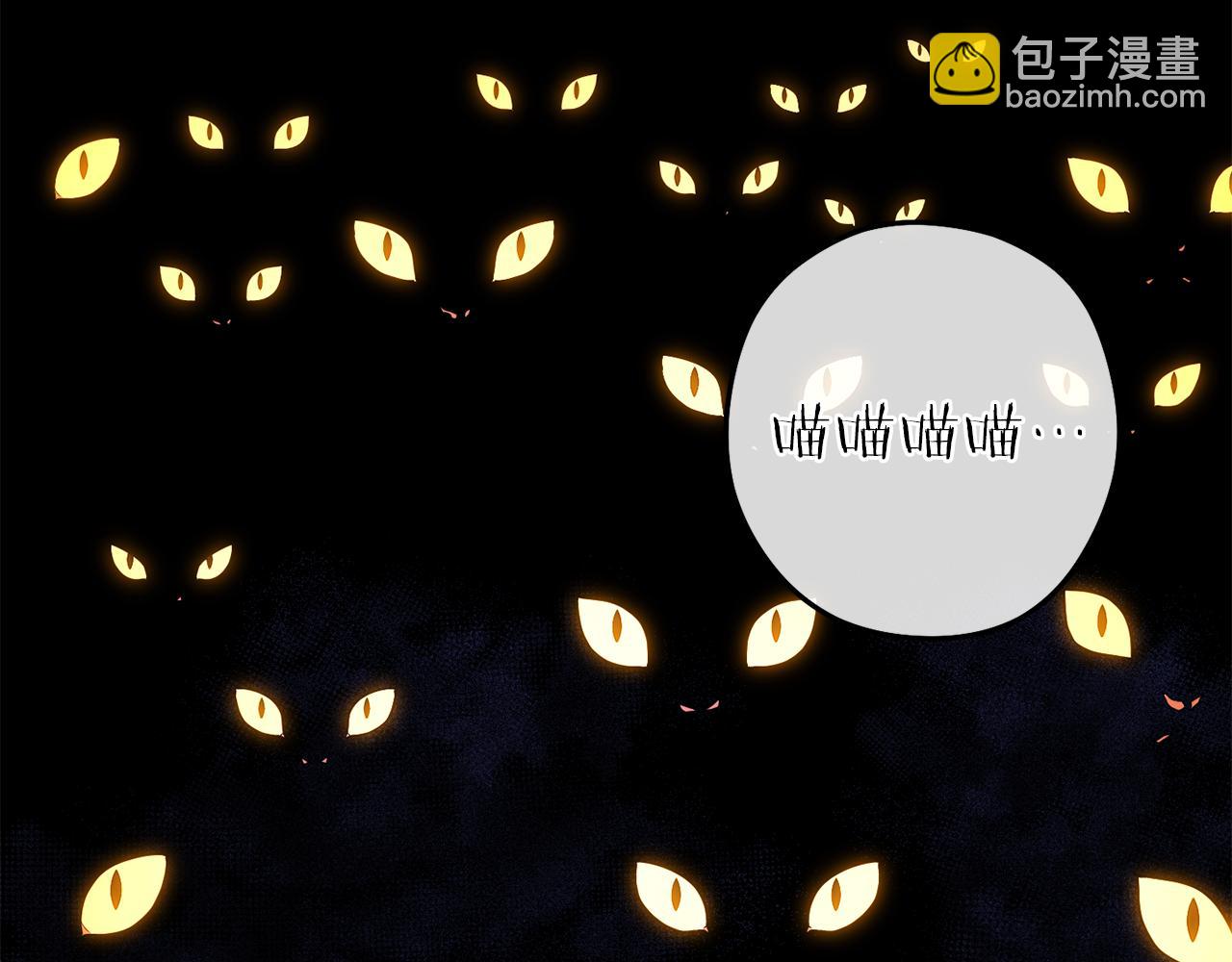 第221话 收服影子猫(1/5)-第225话