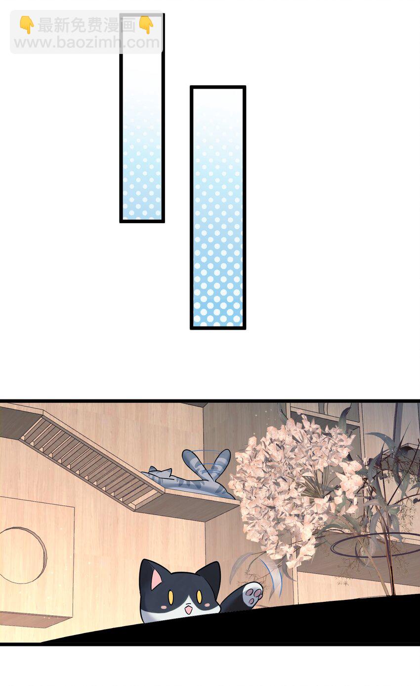 8 带着兔兔去见他-第9话