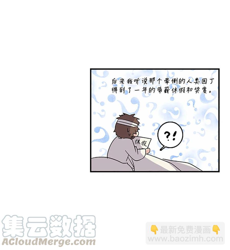 41 雷鸣之夜-第41话