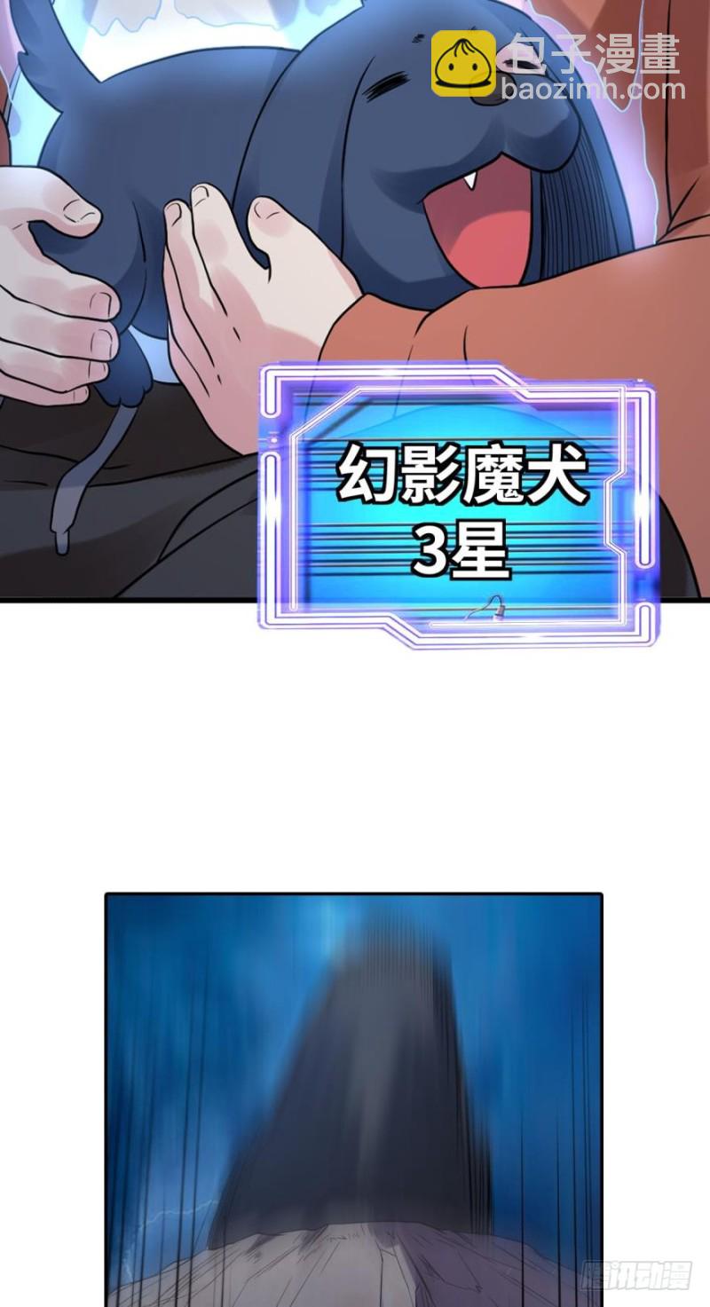 你的斗灵有什么优势吗？-第145话