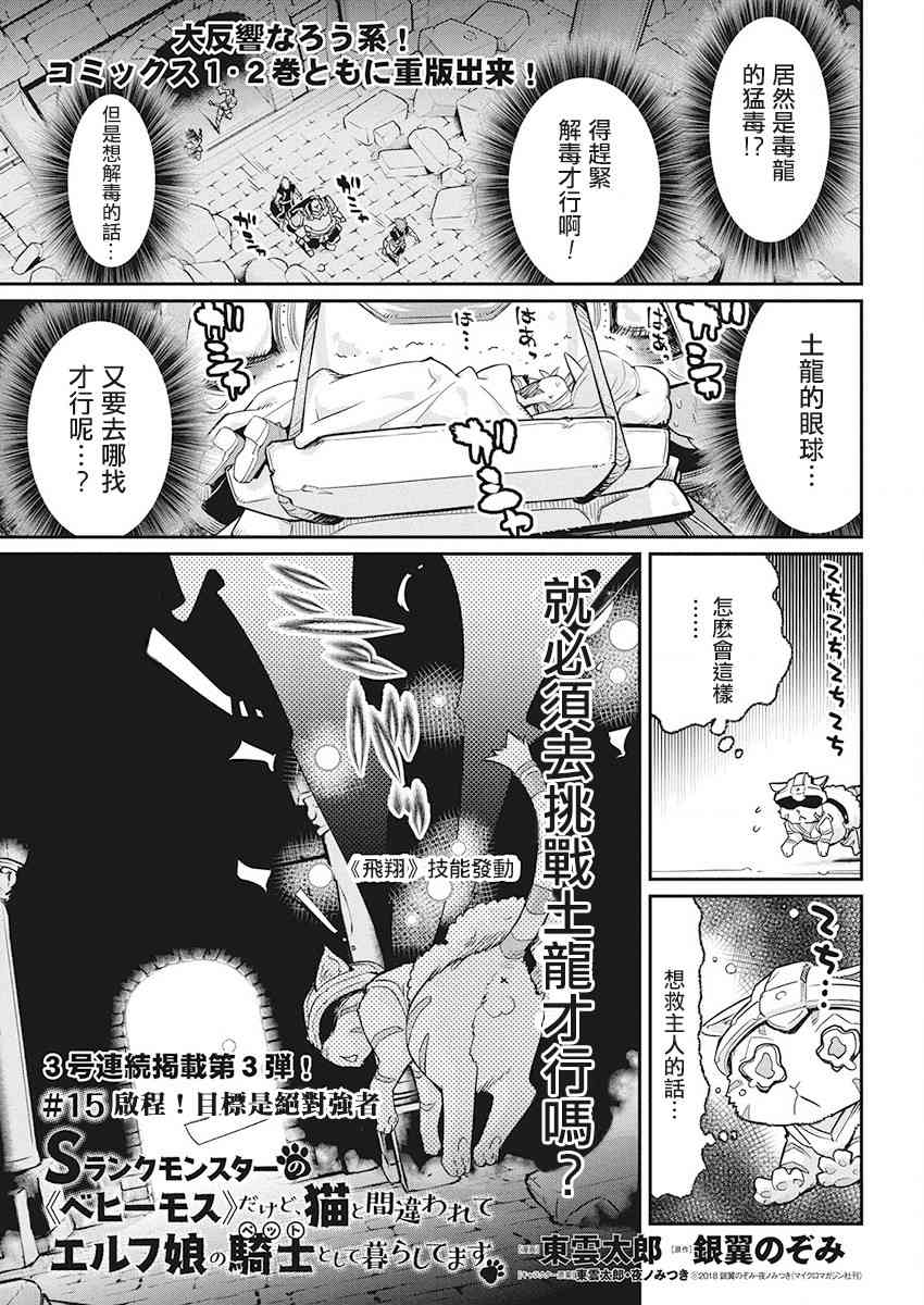 重生的貓騎士與精靈孃的日常 - 15話 - 1