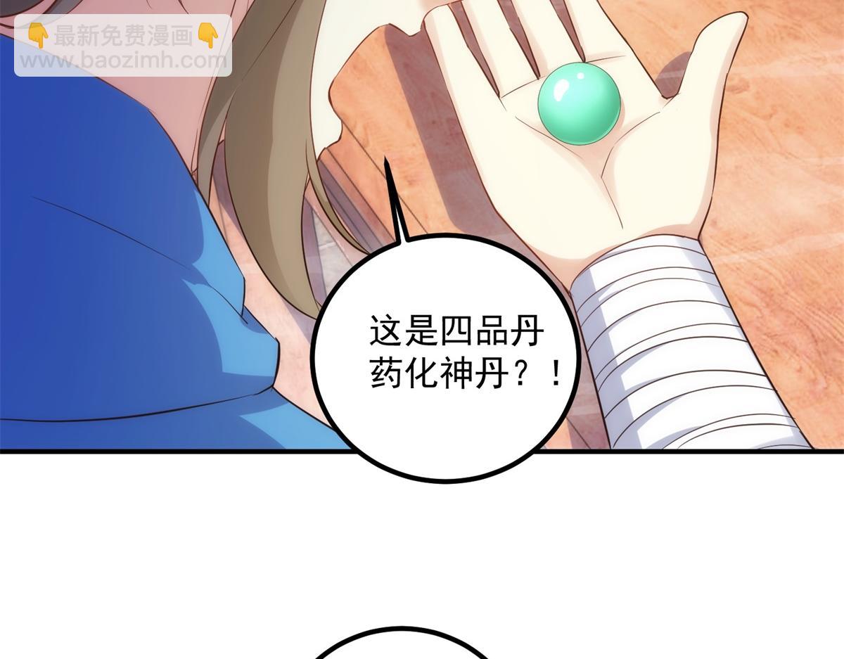 第294话 馈赠化神丹(1/2)-第295话