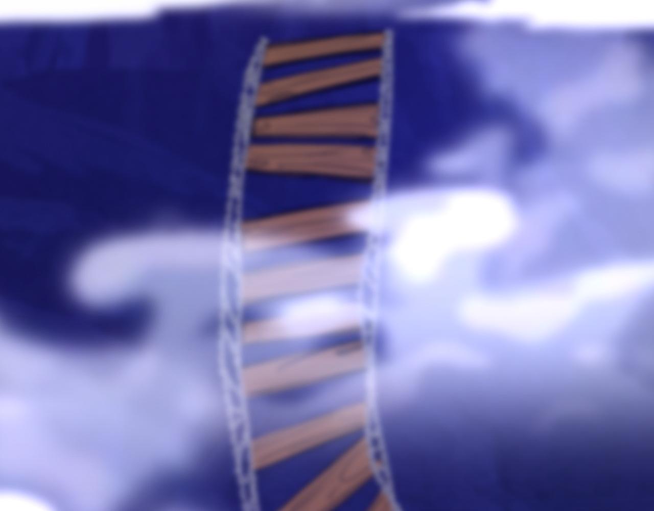 第45话 升级(1/4)-第45话