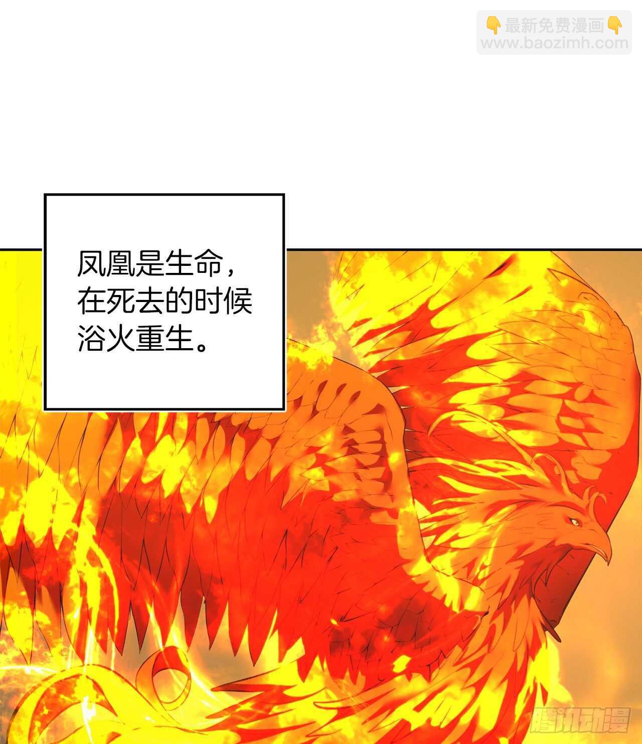 重生歸來的戰士 - 55.取得神獸的信任(1/2) - 6