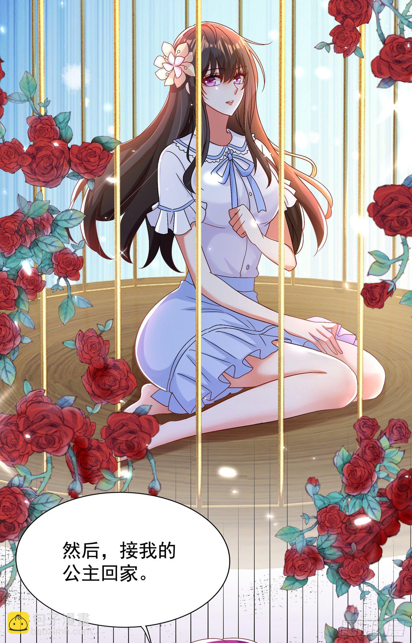 重生空間：大小姐不好惹 - 第142話 送給21歲前的素兒(1/2) - 5