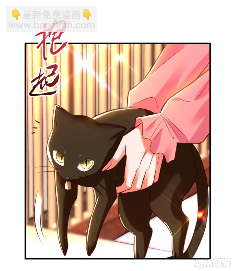 重生空間：大小姐不好惹 - 第252話 白晴月？她怎麼在這 - 1