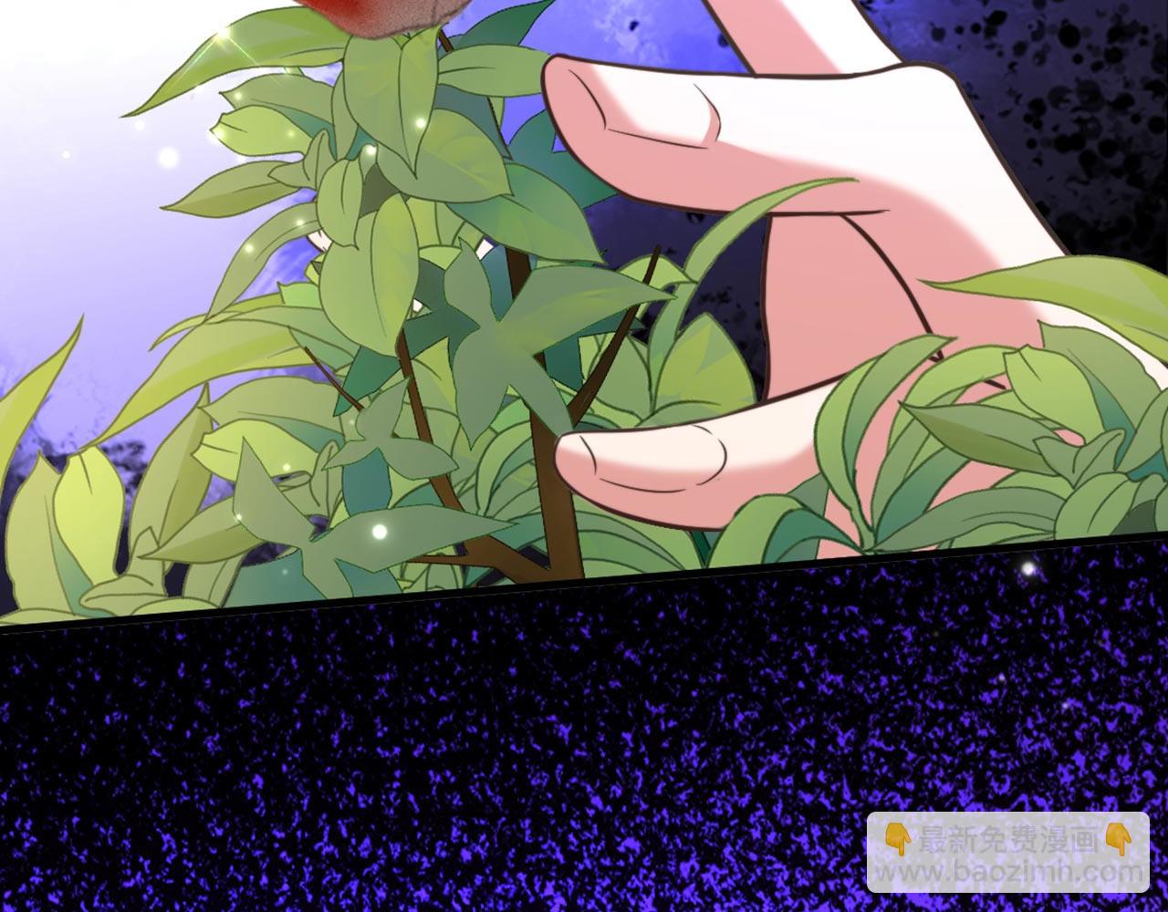 重生空間：大小姐不好惹 - 第334話 她在調查我了？(3/3) - 5