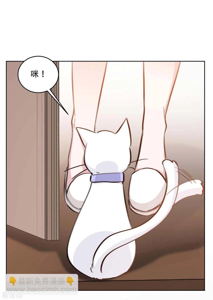 重生暖婚輕寵妻 - 第193話 他們竟是舊相識 - 3