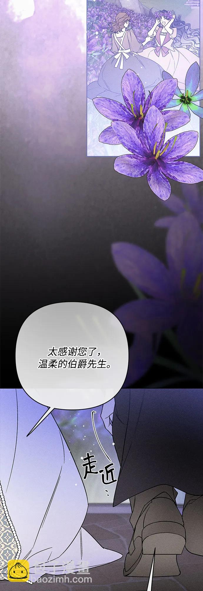 重生騎士的名媛生活 - 第139話 路伊普斯·艾登（1）(1/2) - 6