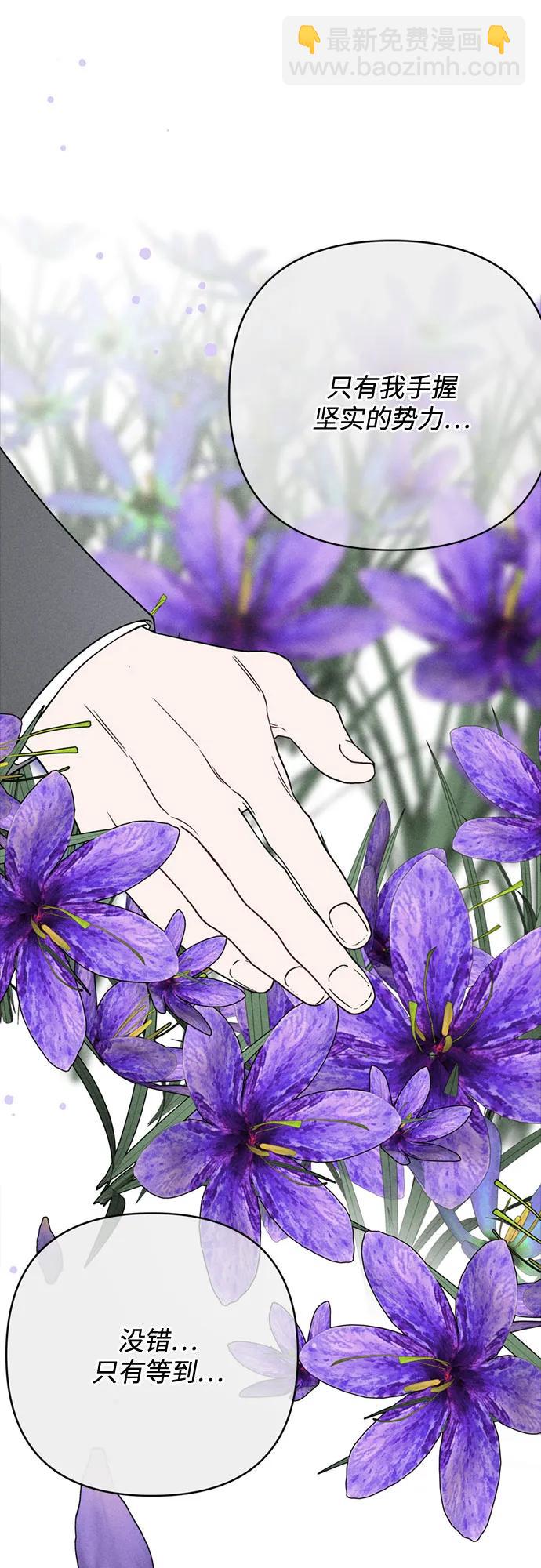 重生騎士的名媛生活 - 第141話 路伊普斯·艾登（3）(1/2) - 4