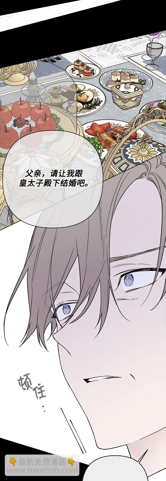 重生騎士的名媛生活 - 第141話 路伊普斯·艾登（3）(1/2) - 6