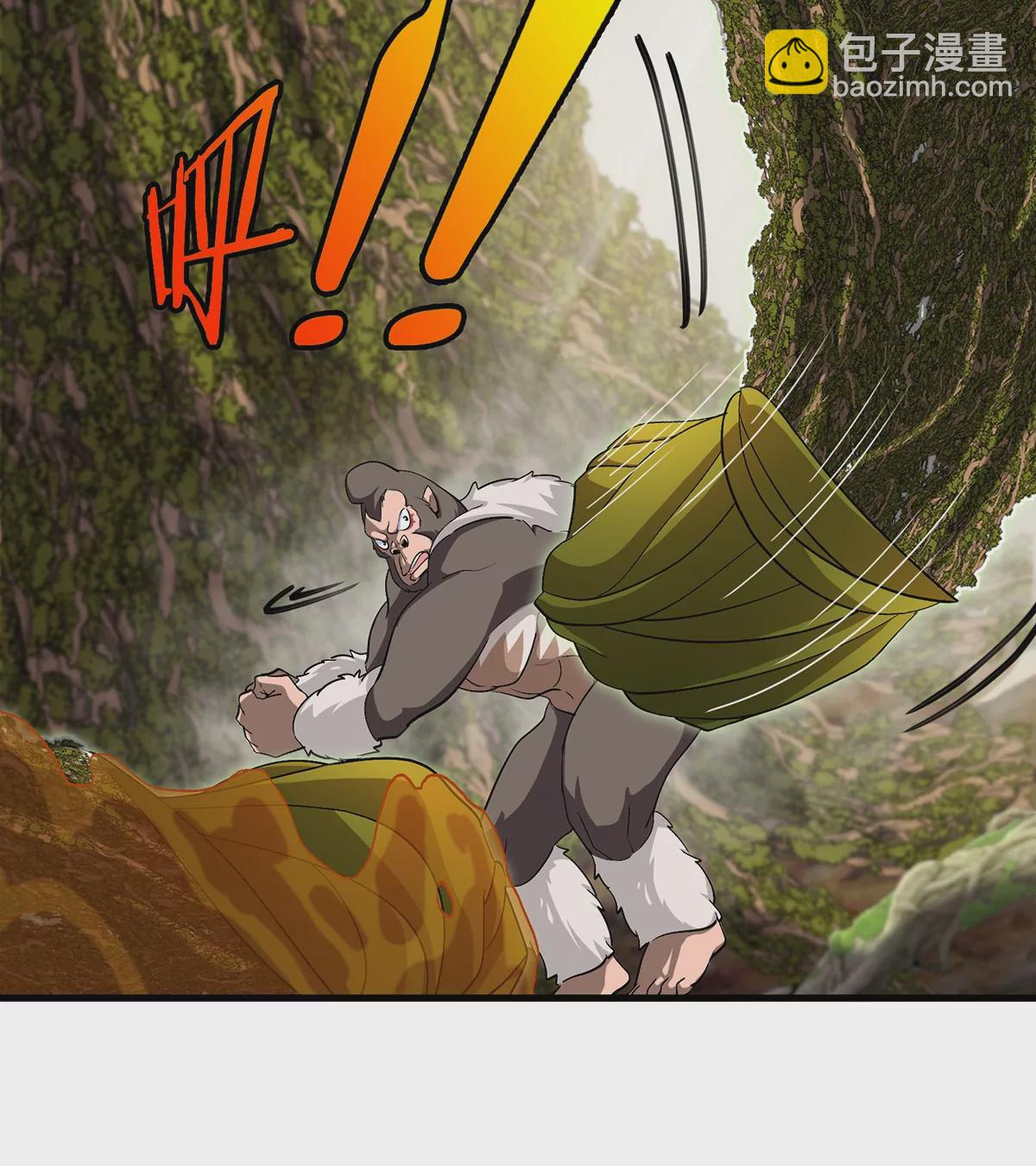 第50话 会组合拳的尊柏树(1/2)-第51话