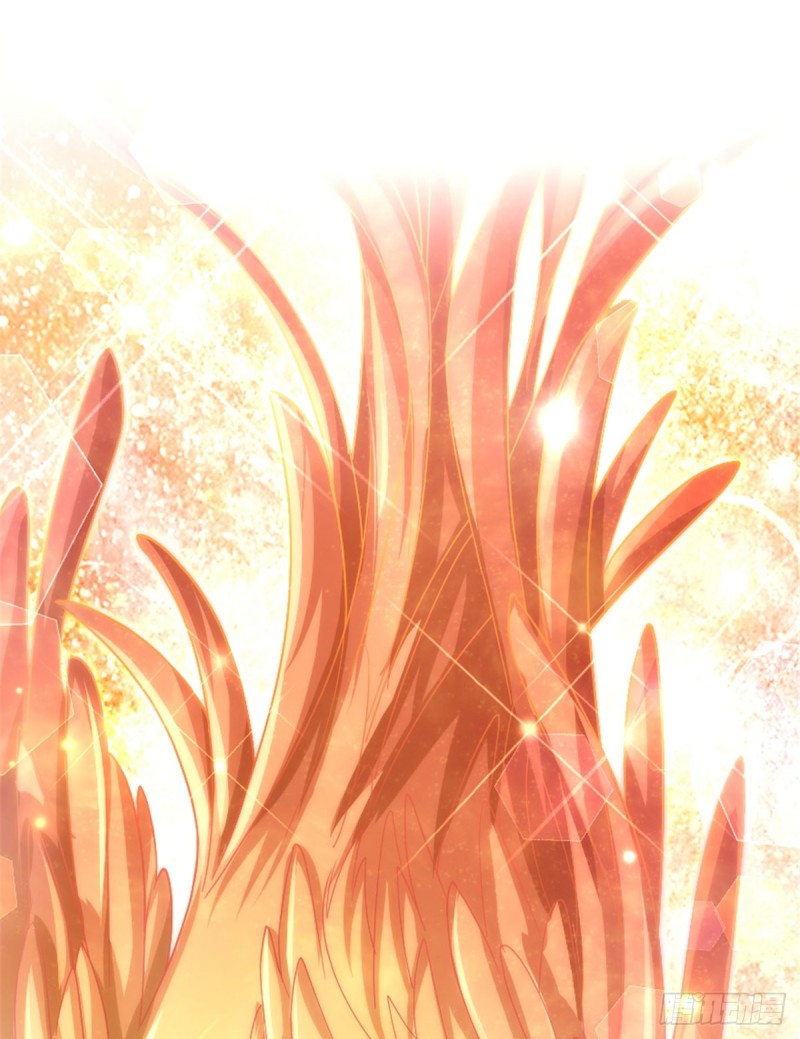 第178话(1/2)-第181话