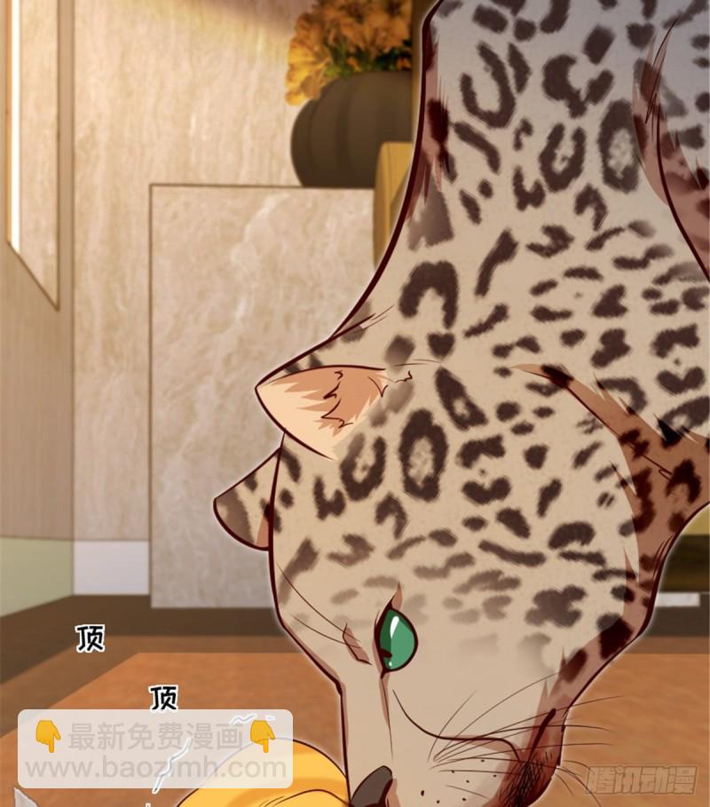 第186话(1/2)-第189话