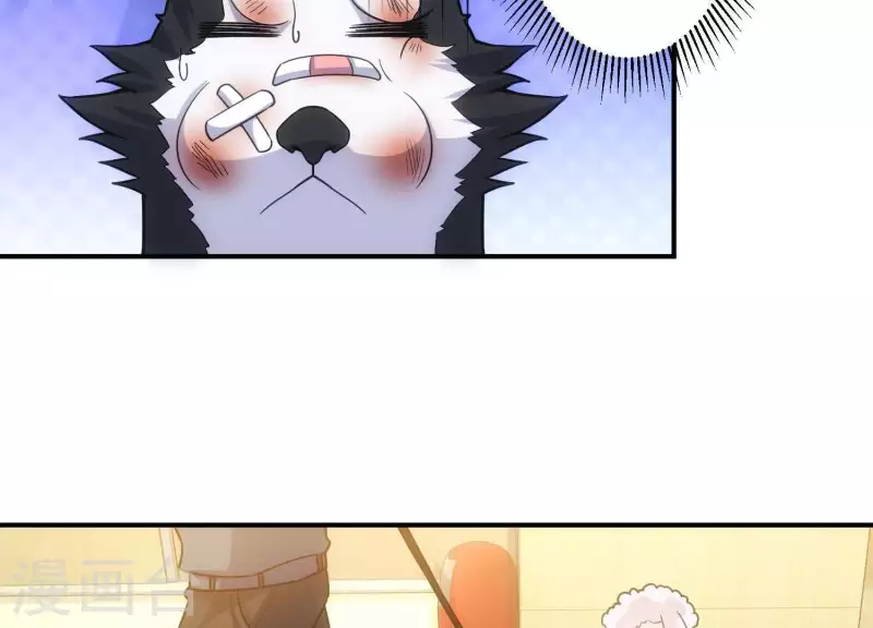 第11话 铁骨铮铮(1/2)-第11话