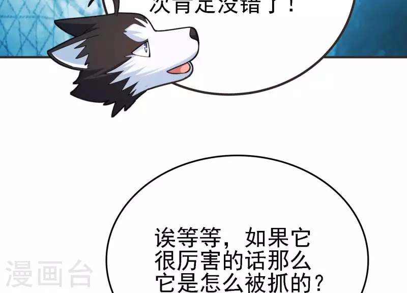 第21话 拯救小白(1/3)-第21话