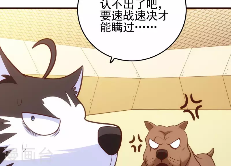 第25话 速战速决(1/2)-第25话