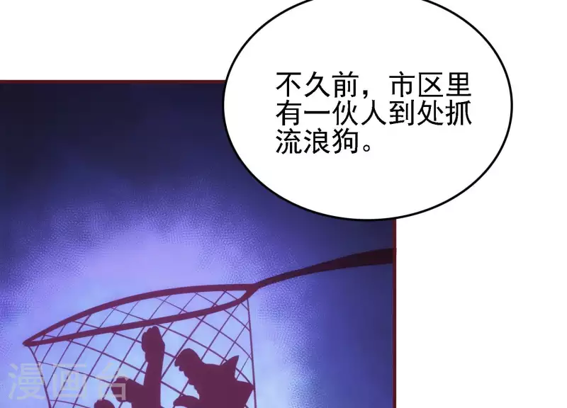 第29话 前因后果(1/2)-第29话